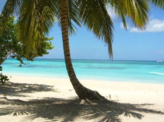 Алёна Кармадонова