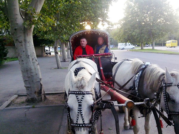 Nugzari Nadareishvili