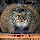 Сергей Горелкин