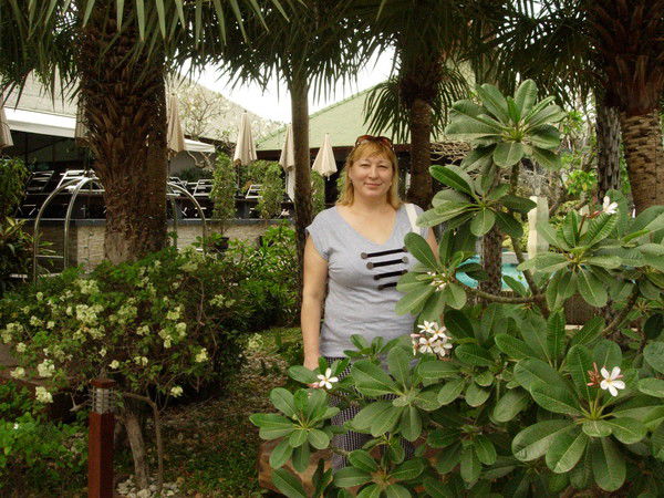 Неизвестно Неизвестно