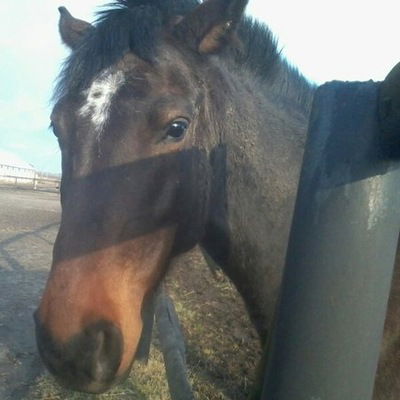 Дарья Шульга