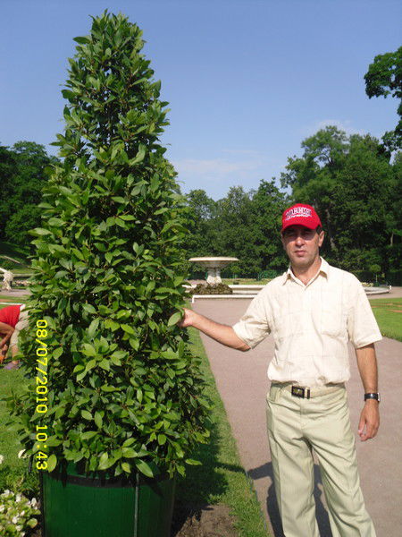 Ильсур Гибадуллин