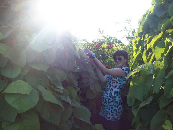 Елена Лисайчук