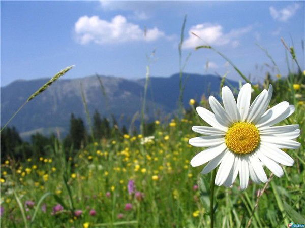 Сш №7 С Пришкольным Интернатом Г.эмба Ем