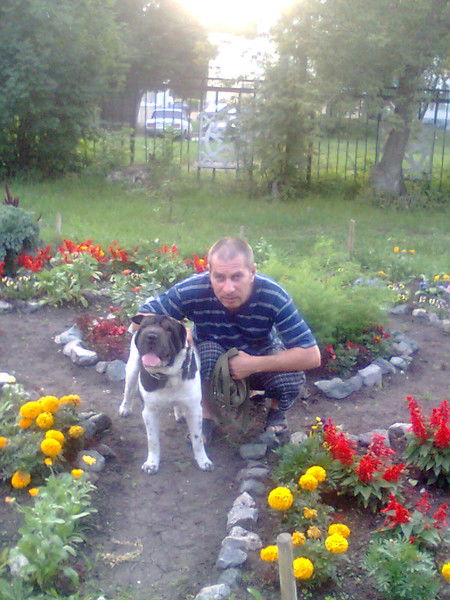 Геша Крокодил