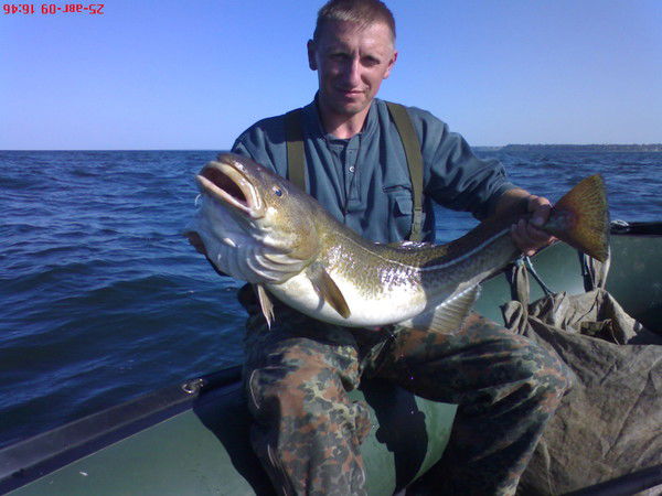 Дмитрий Сорокин