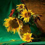 Агра Кубань