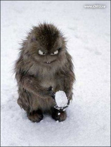 Л Лохматушка