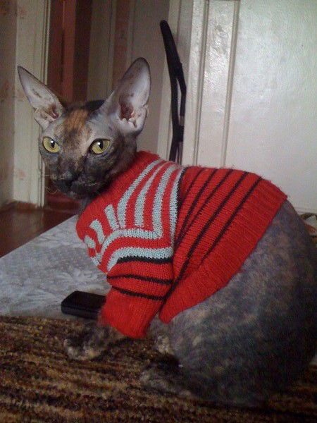 Людмила Шамаева