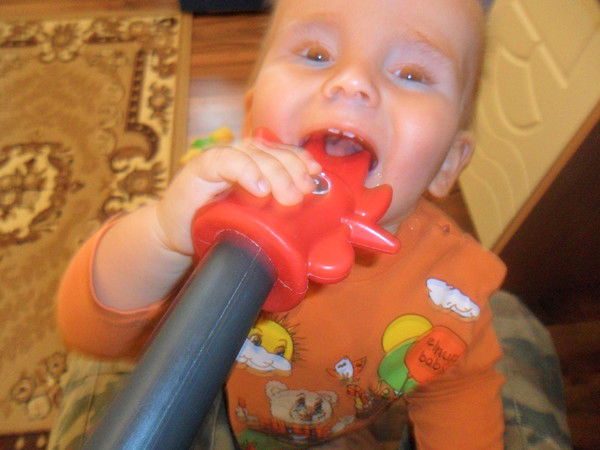 Наталья Чеснокова