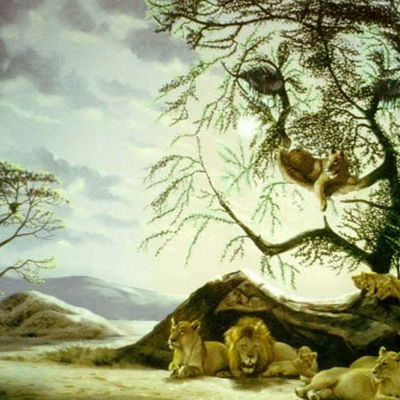 Магомед Абдулгамидов