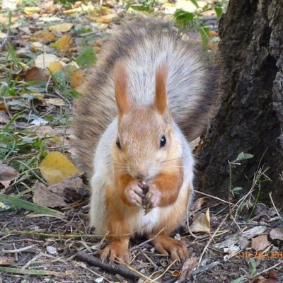 Владислав Двойнишников