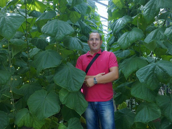 Алексей Самарин