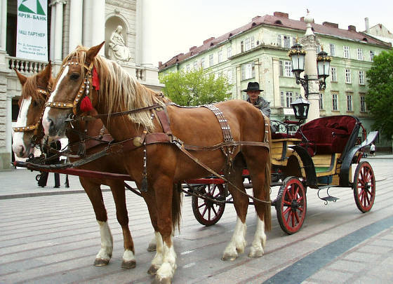 Андрей Андрей