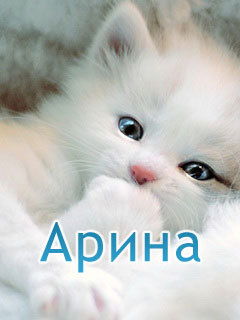 Аринчик Мандаринчик