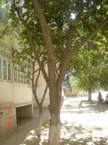 Неизвестно Неизвестно