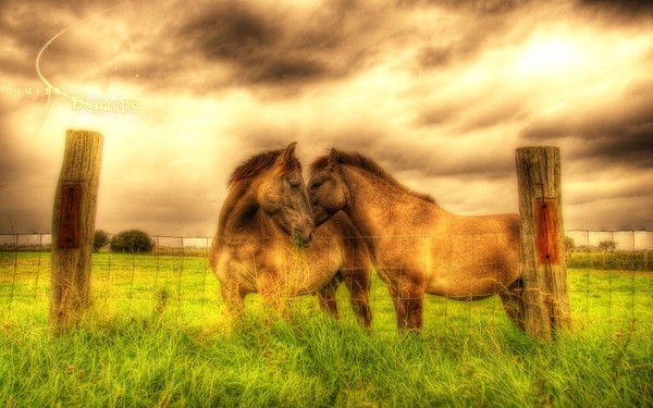 Анар Турымова