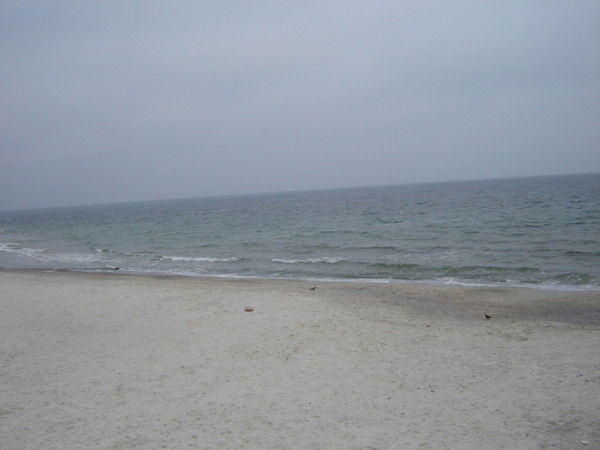 Ирина Грицай