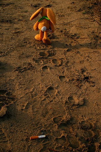 Василий Сахнов