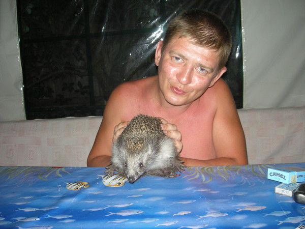 Александр Тимченко