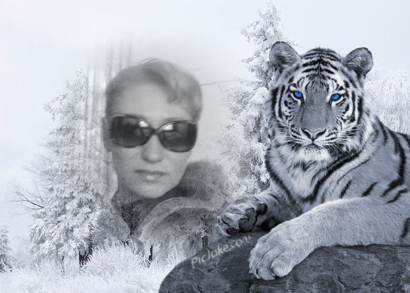 Татьяна Потапова