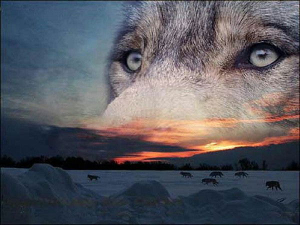 Колганов Сергей