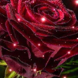 Виктория Абрамова