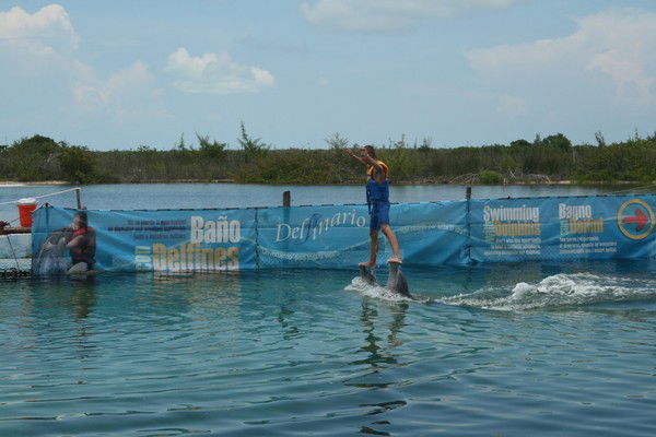 Кирилл Капитанников