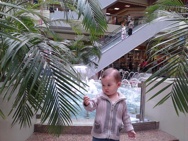 Елина Садиева