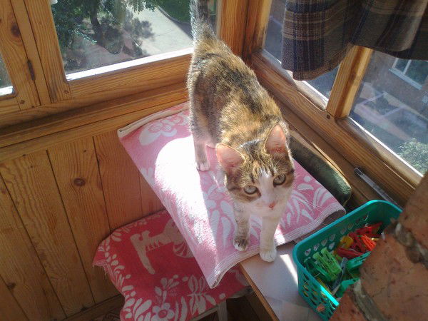 Марина Исаева