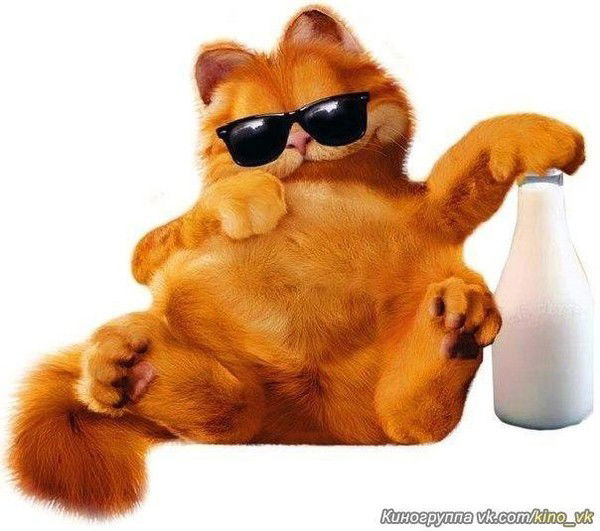 Данис Зинуров