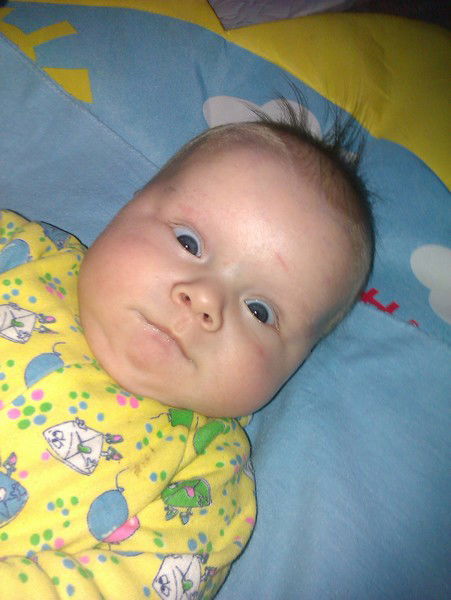 Алисевич Виталий