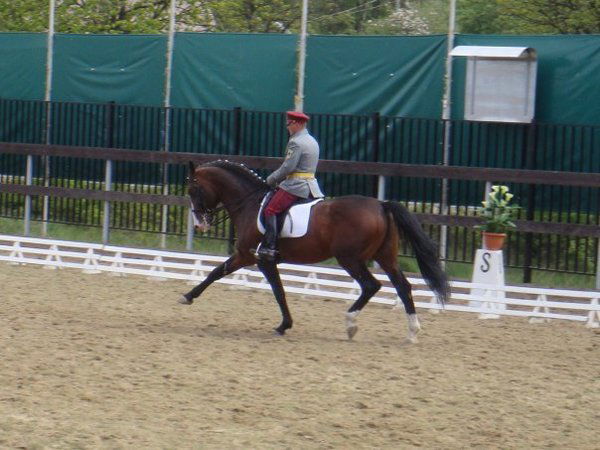 Роман Наджарян