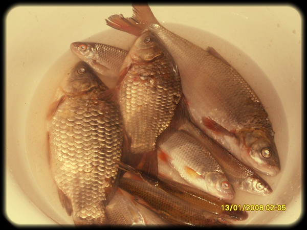 Александр Соболев