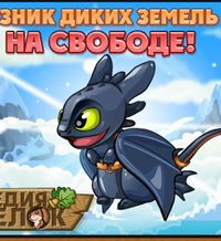 Дамир Салахутдинов