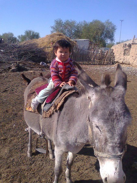 Айгул Сыздыкова