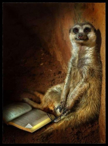 Татьяна Краснопевцева