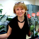Елена Паршакова