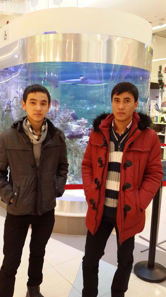 Elaman [Official Page]