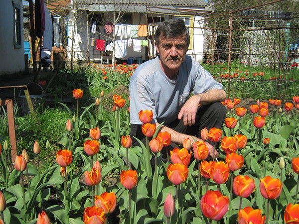 Чижык Майкоп