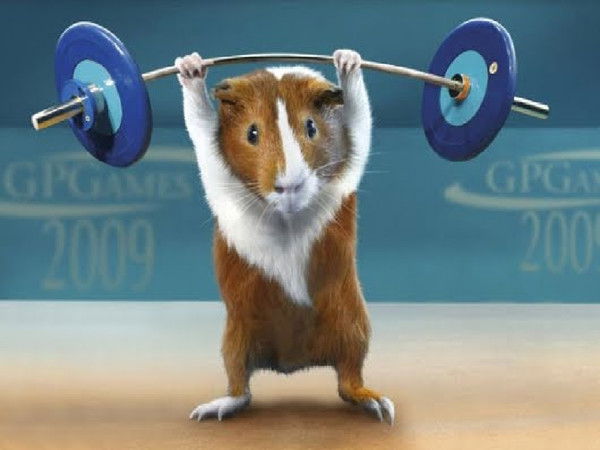 Даулет Жамагатов