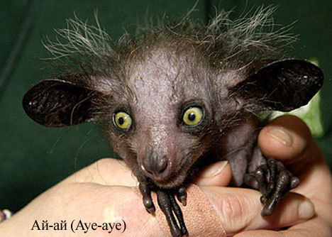 Евгений Виноградов