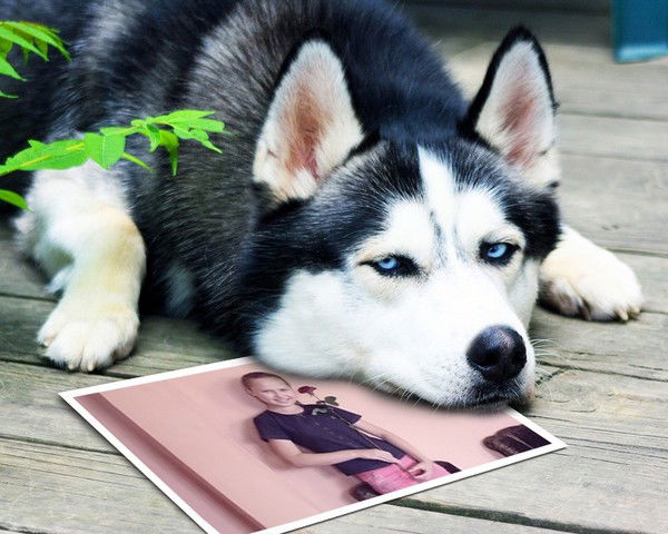 Анастасия Кручинина