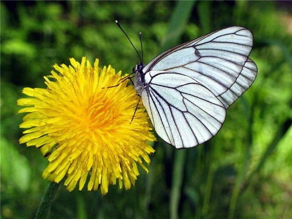 Татьяна Попова