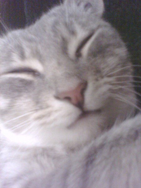 Плюша Худякова