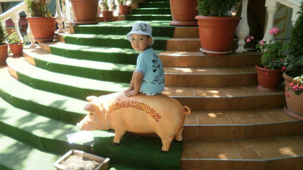 Жамиля Жарилгасова