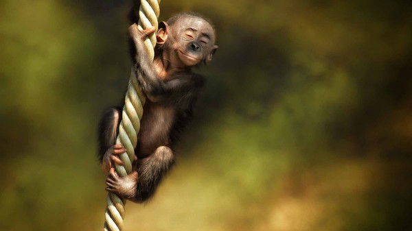 Денис Толстых