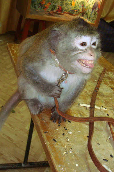 Сагит Кагарманов