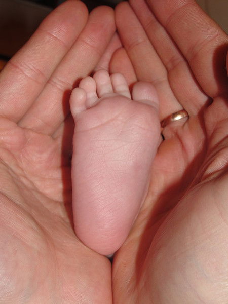 Дмитрий Белов