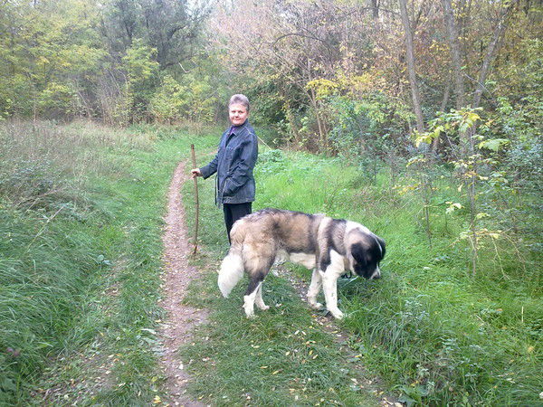 Вера Копытина